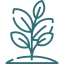 Διαμονή 10 plant 1